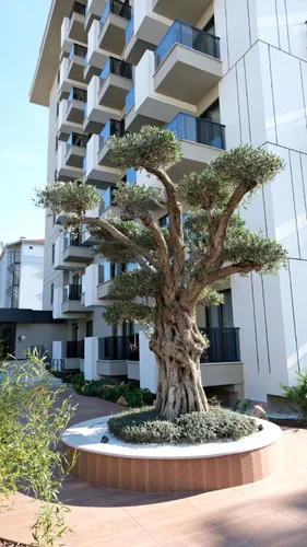 BEST HOME 41 SAGA , Exterior - 2